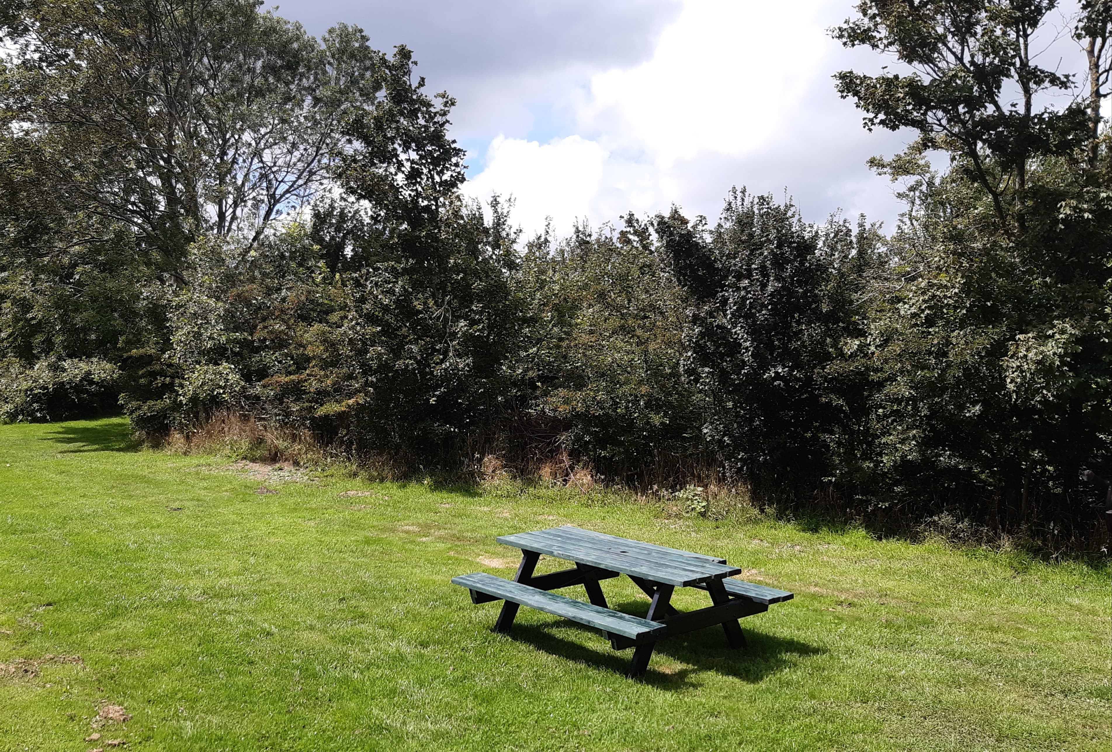 Picknickplek aan het water